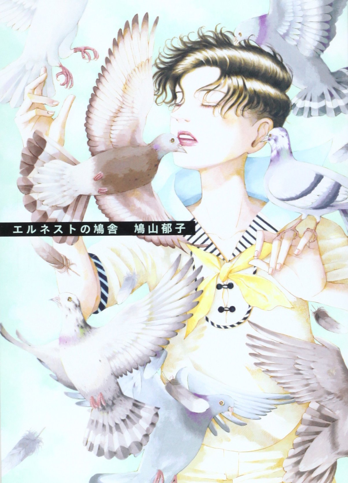 Amazon.co.jp: 鳩山 郁子: 本、バイオグラフィー、最新アップデート